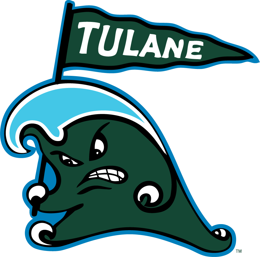 Tulane Green Wave 2016-2017 Secondary Logo diy DTF decal sticker